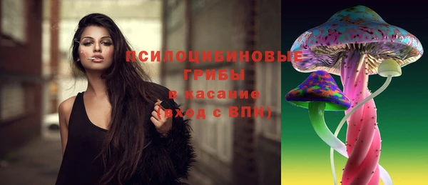 apvp Яровое